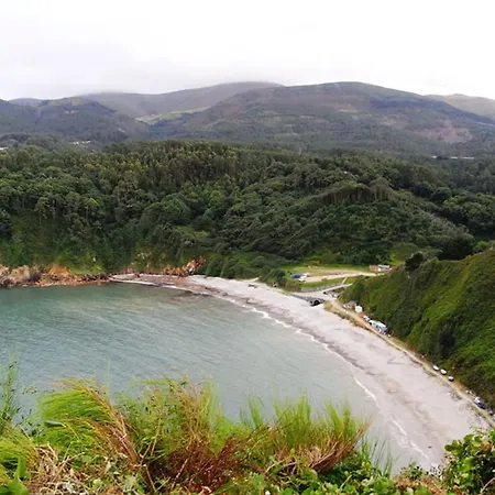 In Guest - Oria Asturias *